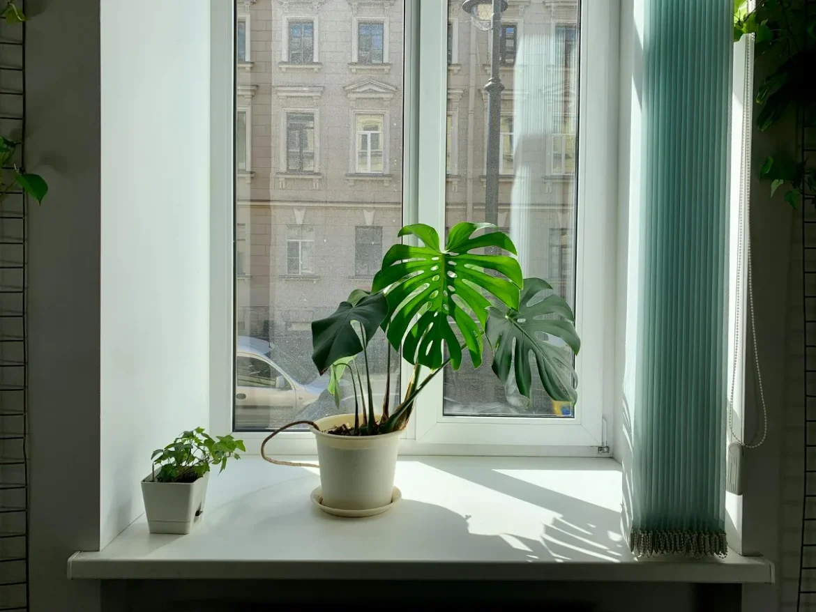 Air Purifiers With a Washable Filter - air purifier with a washable filter