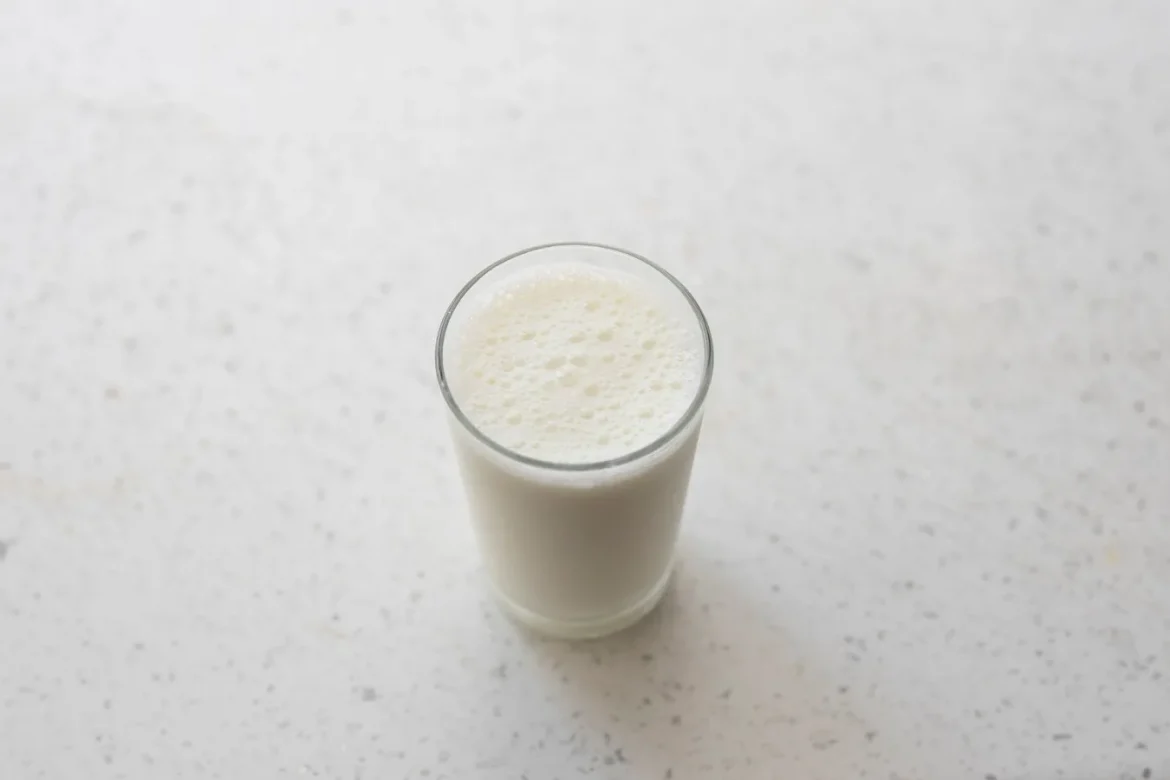 Best Lactose-Free Protein Powder Guide - best lactose free protein powder