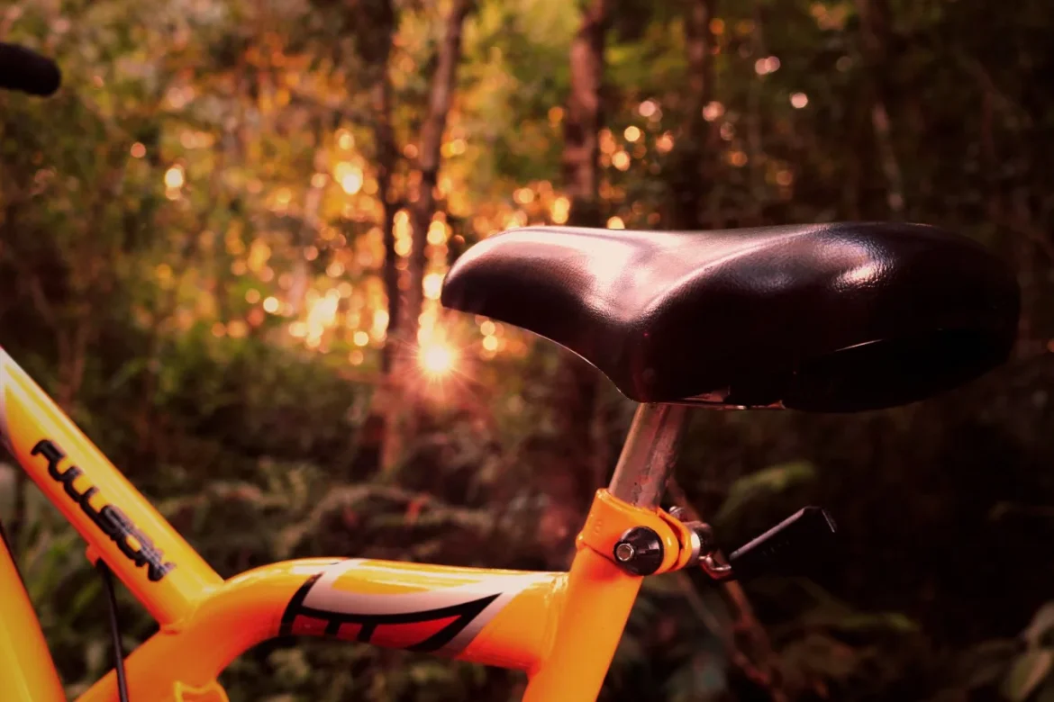 Best Bike Seats for Exercise Bikes - bike seats for exercise bikes