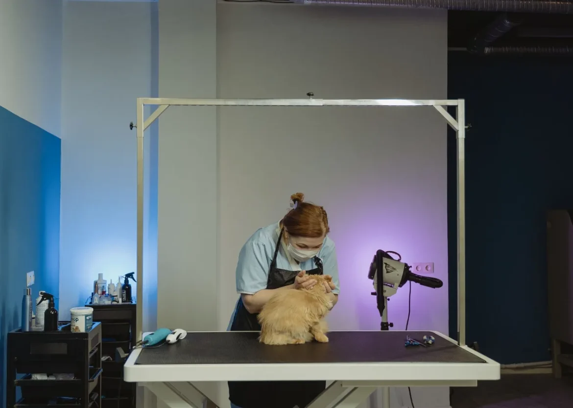 Canine Hair Dryer Guide: How to Choose - canine hair dryer