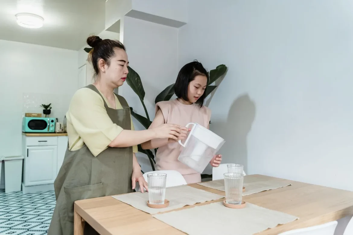 Filter Cartridge Water Buying Guide - filter cartridge water