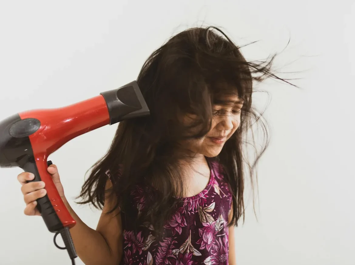 Gem Force Hair Dryer: What to Know - gem force hair dryer