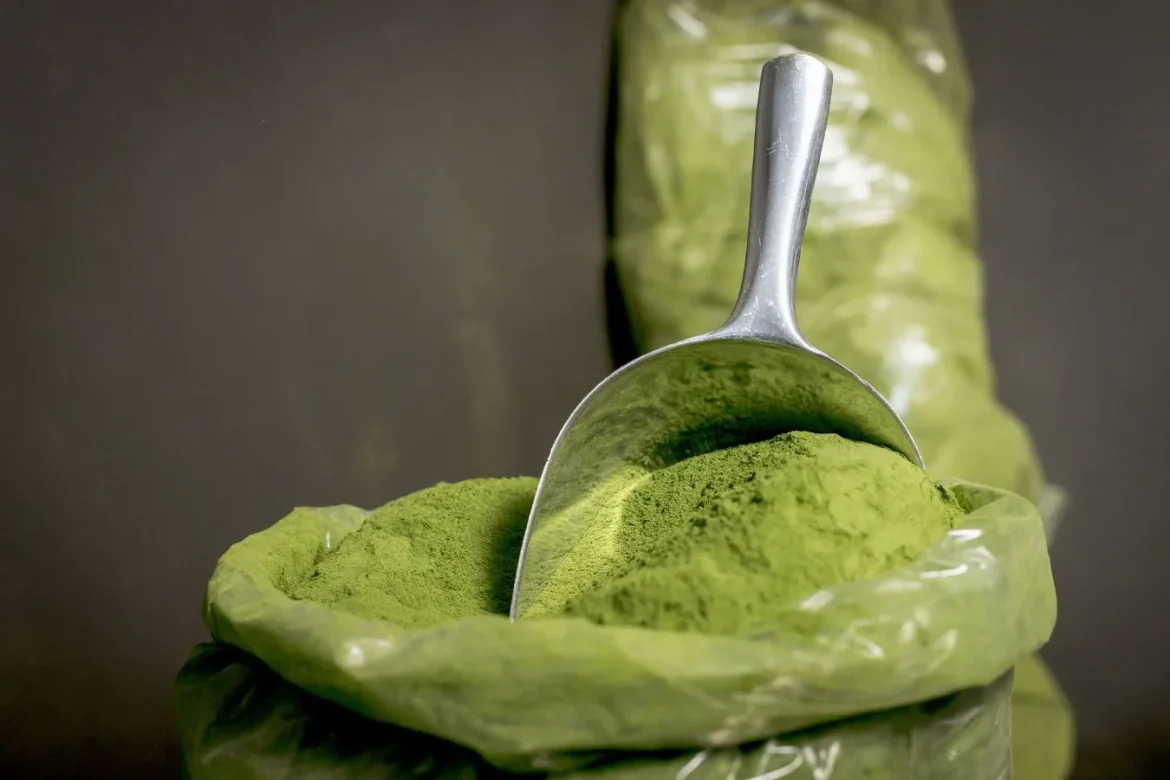 Greens First Pro Powder: A Practical Buying Guide - greens first pro powder