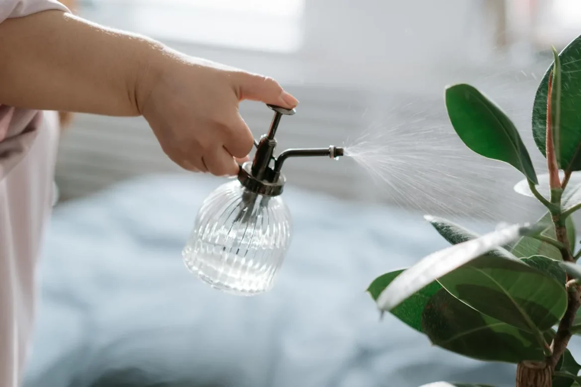 Humidifier for Peace Lily: A Practical Guide - humidifier for peace lily