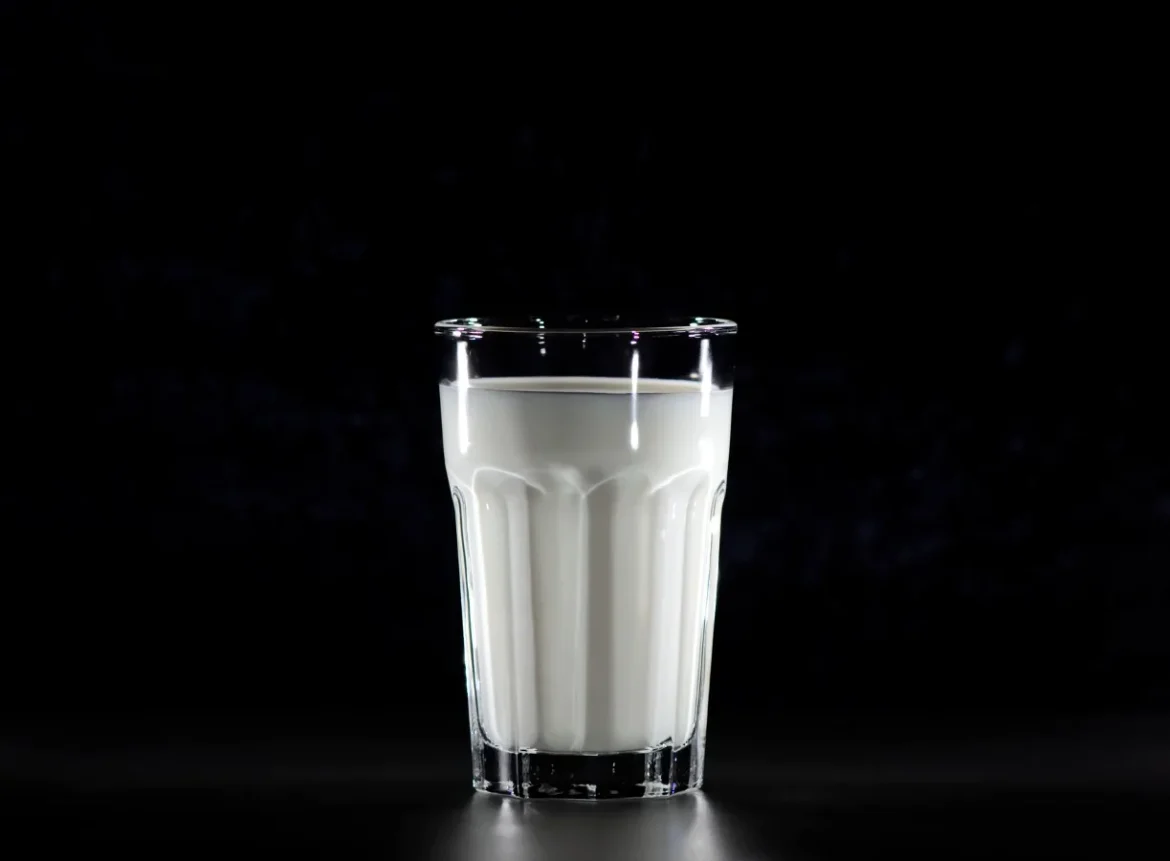 Lactose Free Whey Protein Powder Guide - lactose free whey protein powder