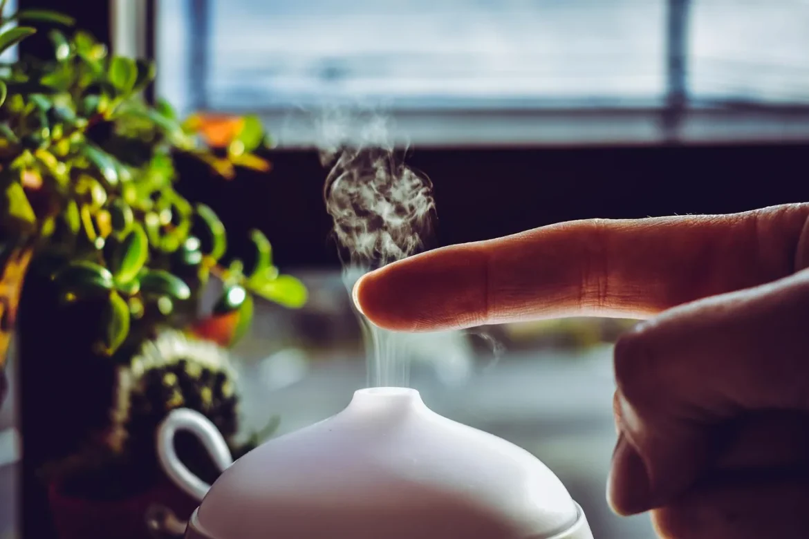 Miro Humidifier: Buyer’s Guide and Key Checks - miro humidifier