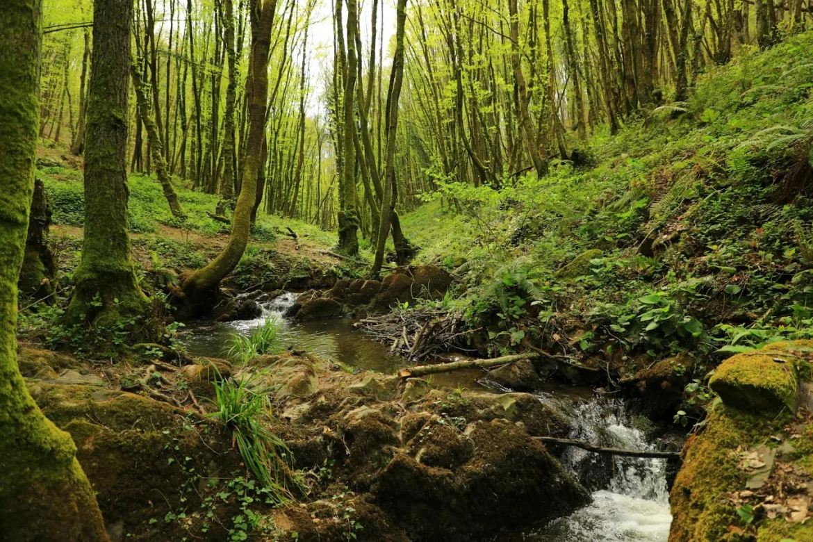 Official Berkefield Water Filter Site Guide - offical berkefield water filter site