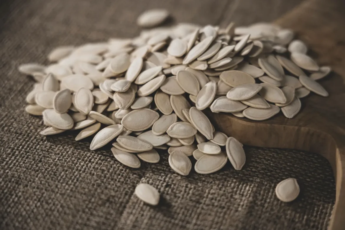 Pumpkin Protein Powder: Buyer’s Guide - pumpkin protein powder