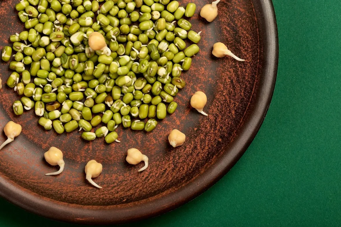 Is Sprouts Greens Powder Safe in Pregnancy? - sprouts greens powder pregnancy safe