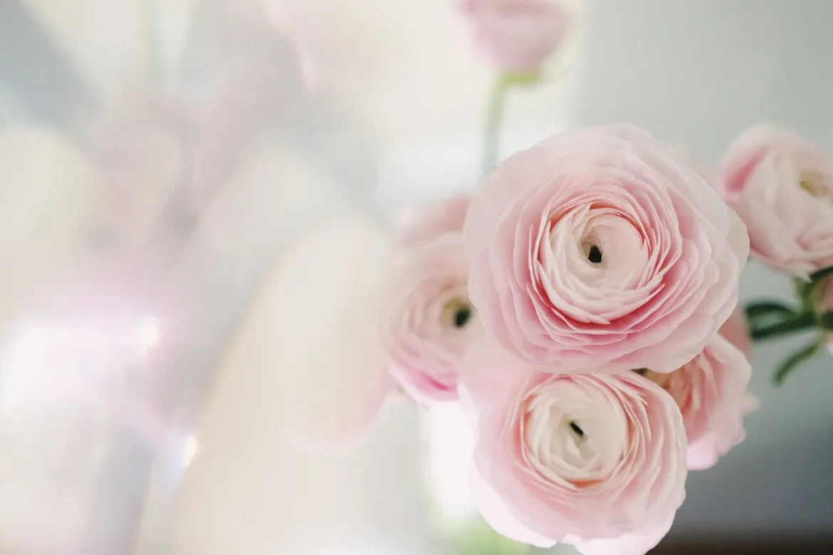 Sweet Grace Flower Diffuser Guide - sweet grace flower diffuser