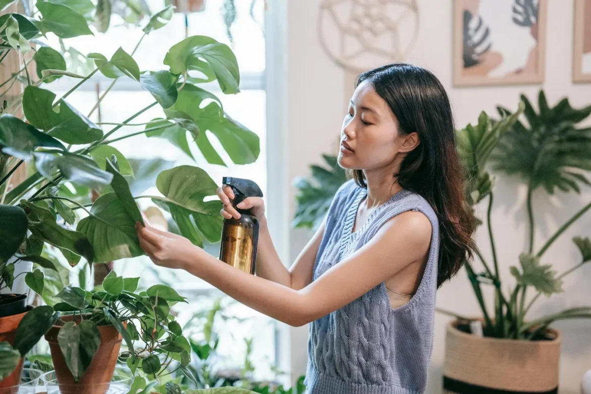 Ultrasonic Humidifiers: What to Know - humidifiers ultrasonic humidifiers